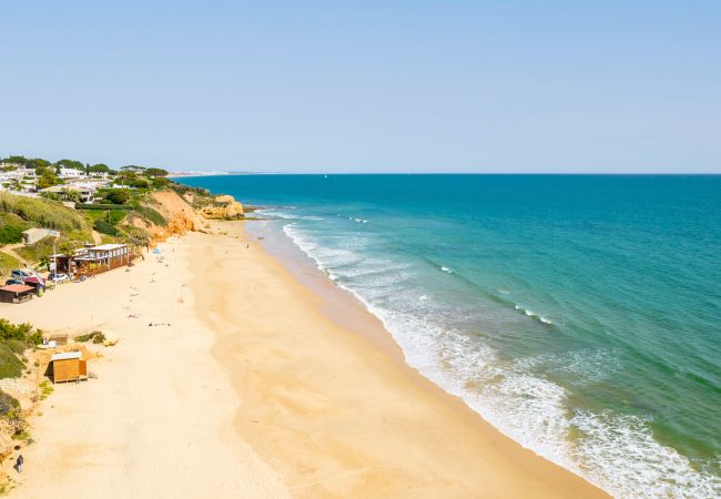 Villa Bermudas (Albufeira) Villa Bermudas (Albufeira)