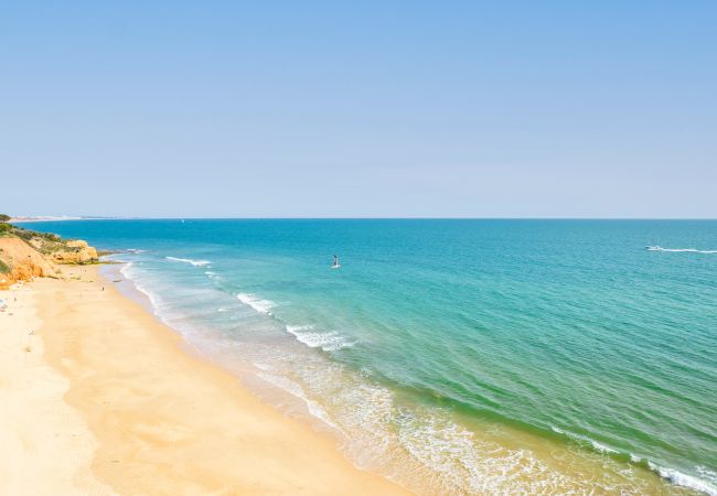 Villa Bermudas (Albufeira) Villa Bermudas (Albufeira)