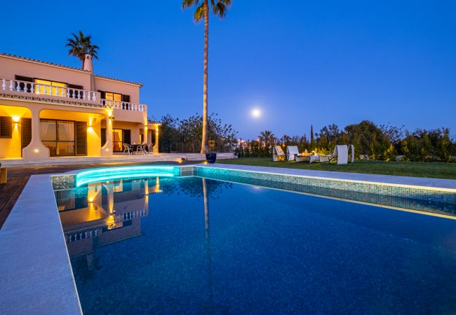 Villa Oasis del Mar (Albufeira) Villa Oasis del Mar (Albufeira)