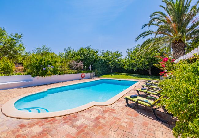 Villa Alice (Albufeira) Villa Alice (Albufeira)