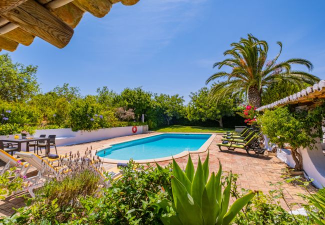 Villa Alice (Albufeira) Villa Alice (Albufeira)