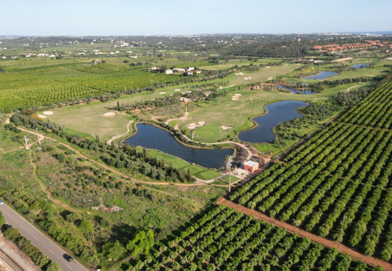 Villa em Alcantarilha - Villa Harmony