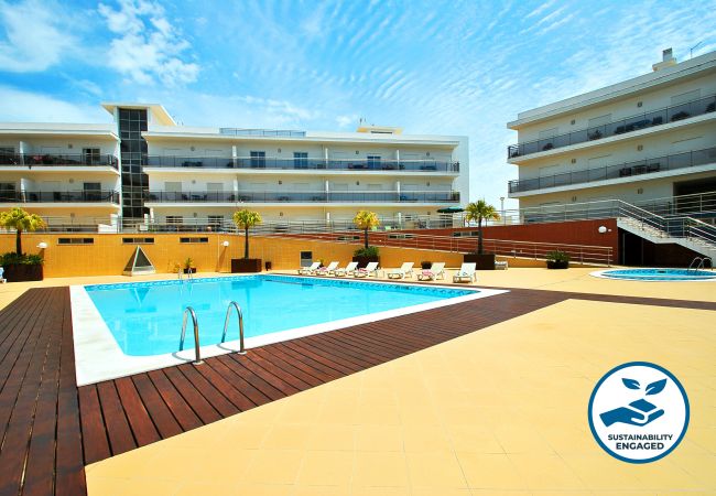  in Albufeira - Apartment Barbados