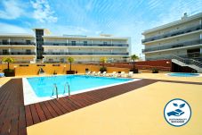 Apartment in Albufeira - Apartment Barbados