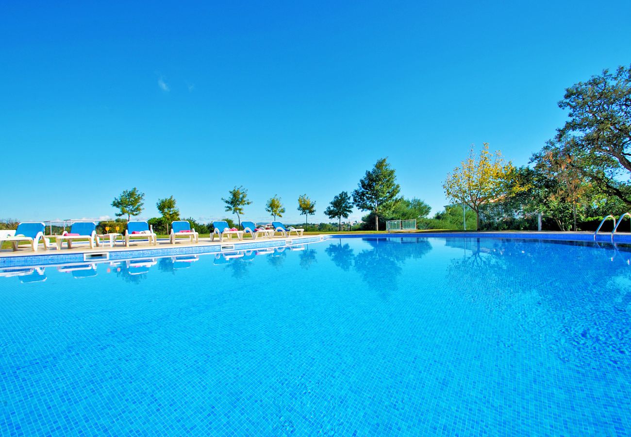 Apartment in Albufeira - Apartment Vienna
