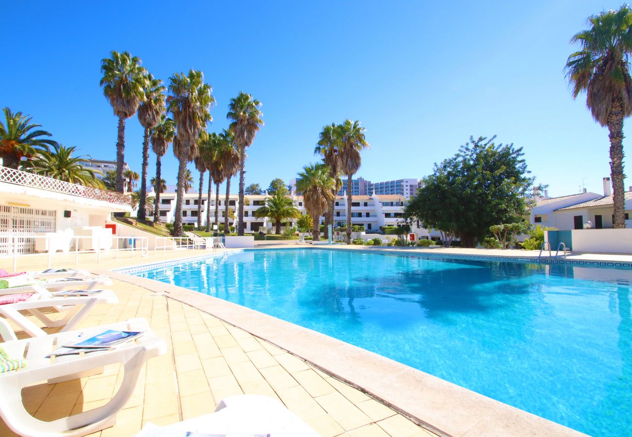 Apartment in Albufeira - Apartment Bohol 2