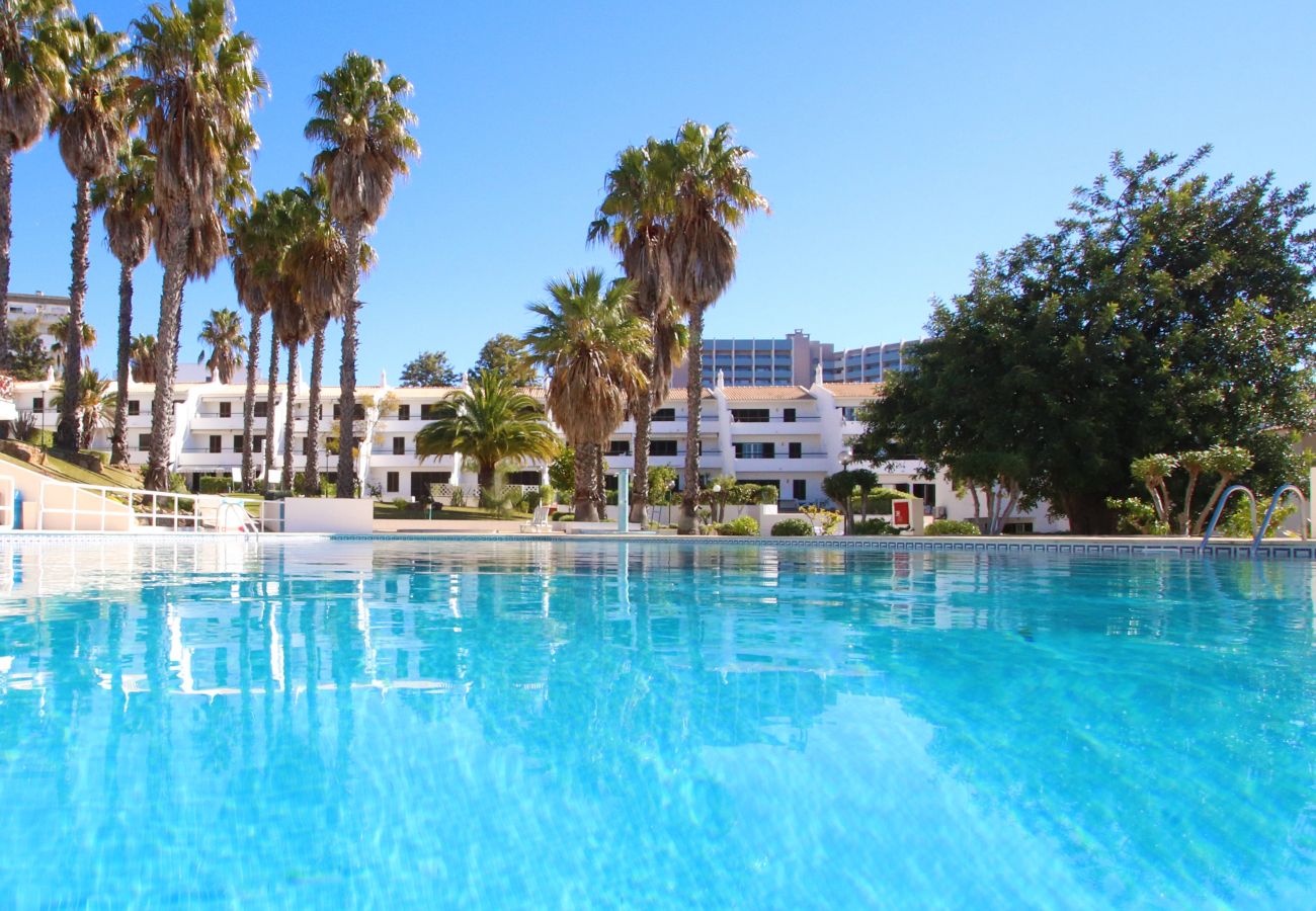 Apartment in Albufeira - Apartment Bohol 2