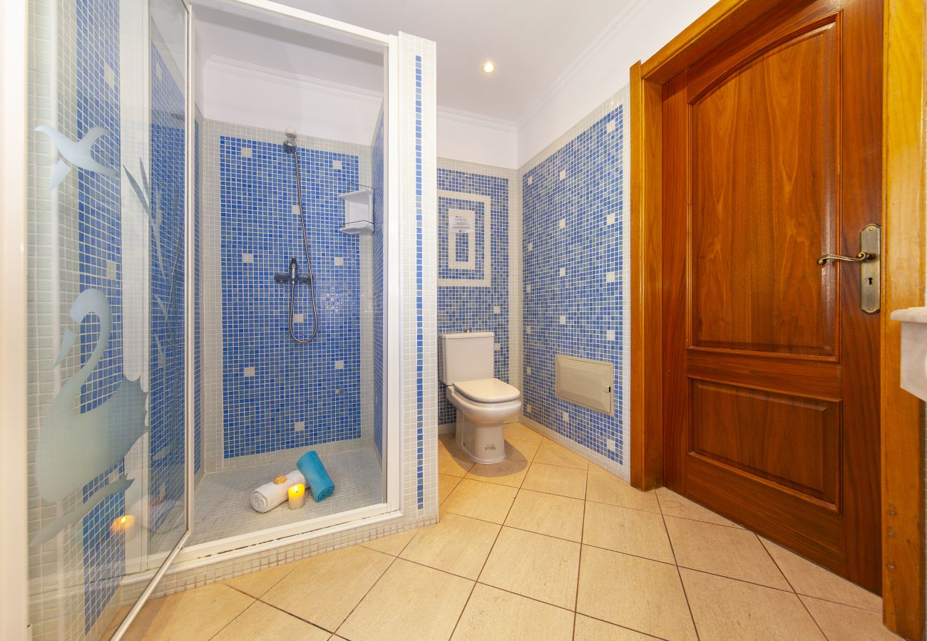 Villa in Albufeira - Villa Las Palmas