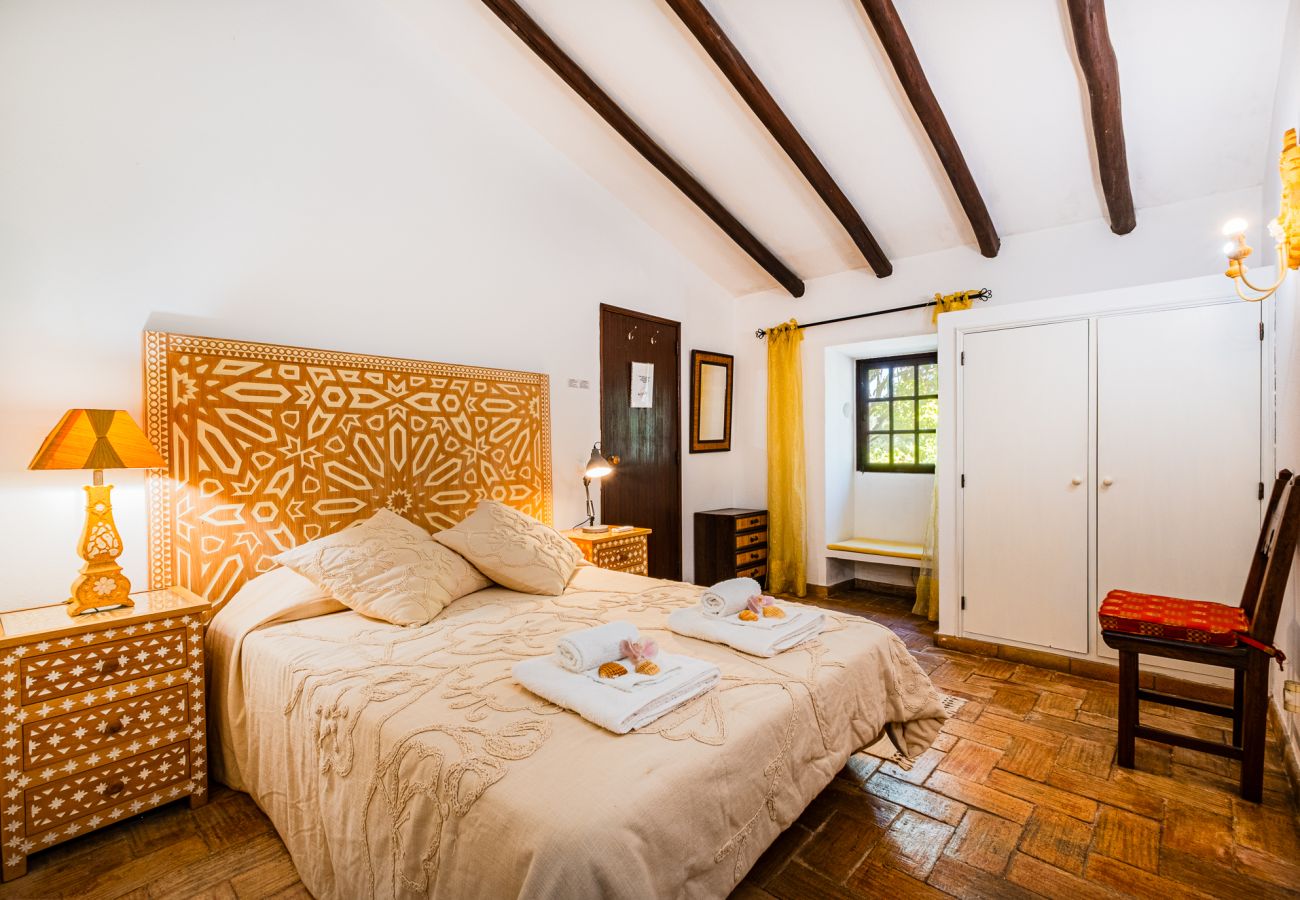 Villa in Albufeira - Villa Alice