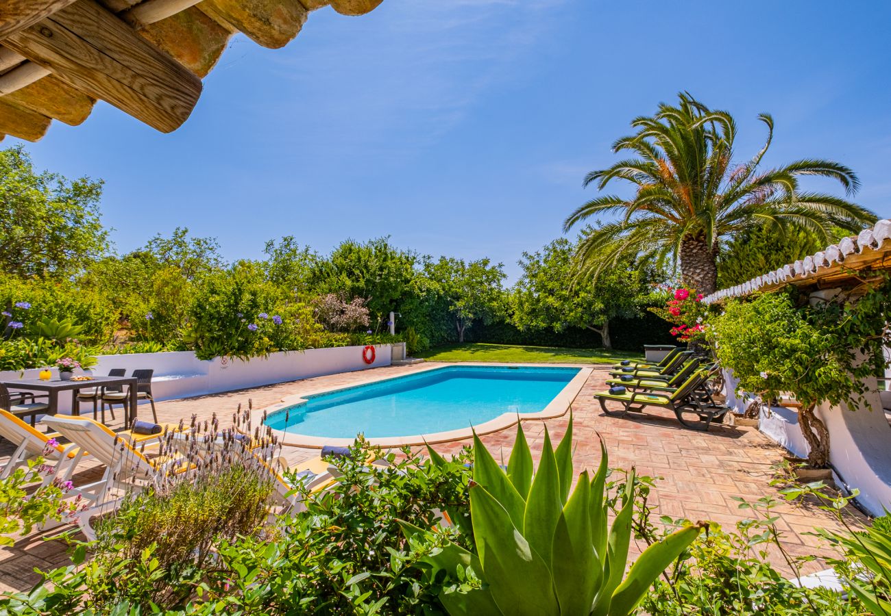 Villa in Albufeira - Villa Alice
