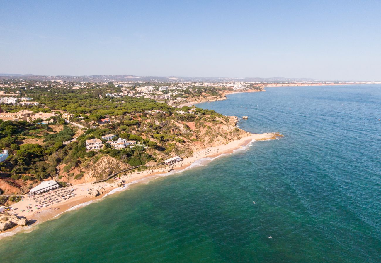 Apartment in Albufeira - Apartment Milos