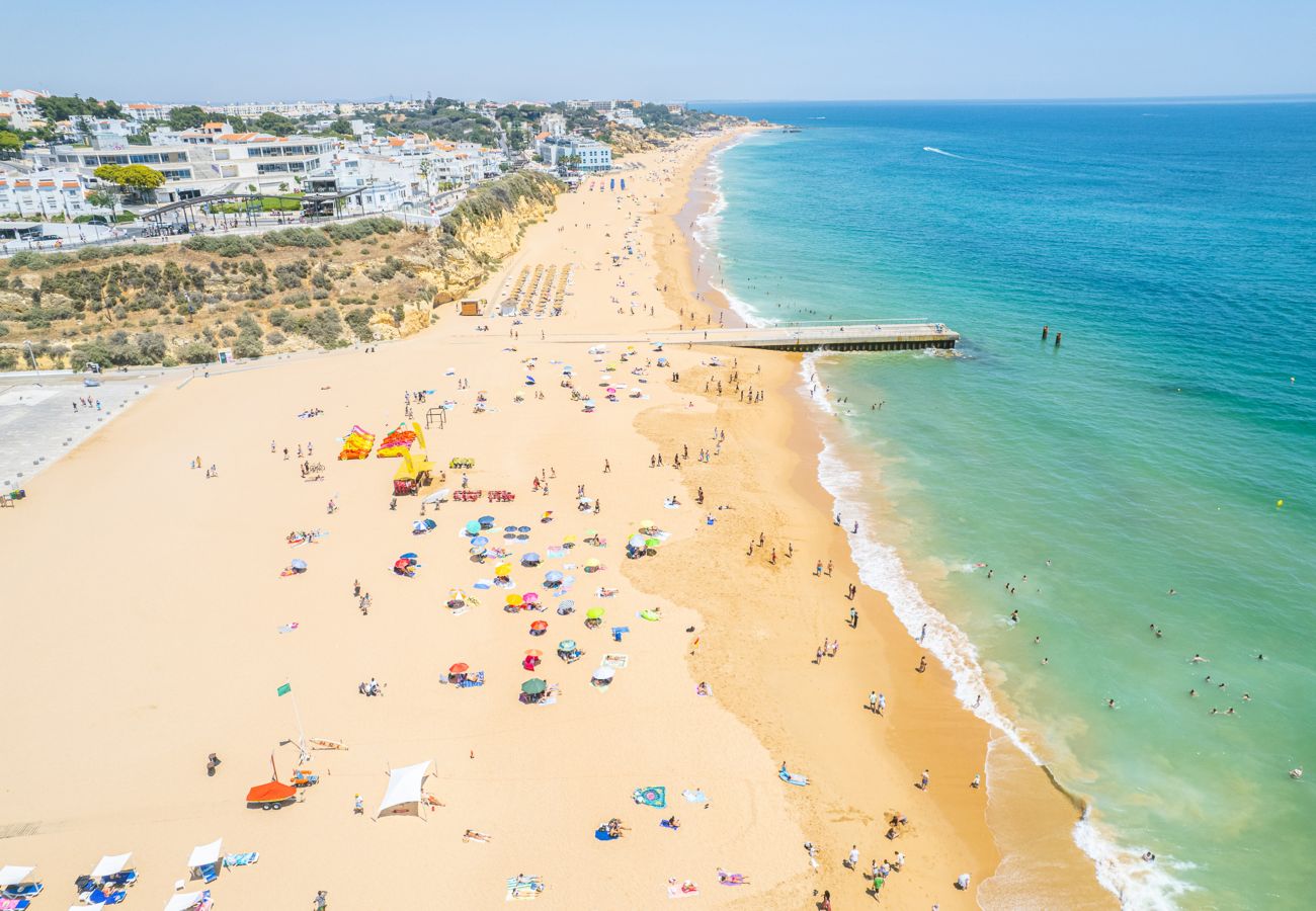 Apartment in Albufeira - Apartment Coconut Beach