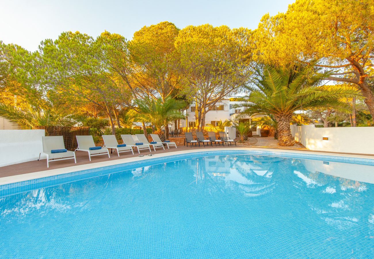 Villa in Albufeira - Villa Vista Mare