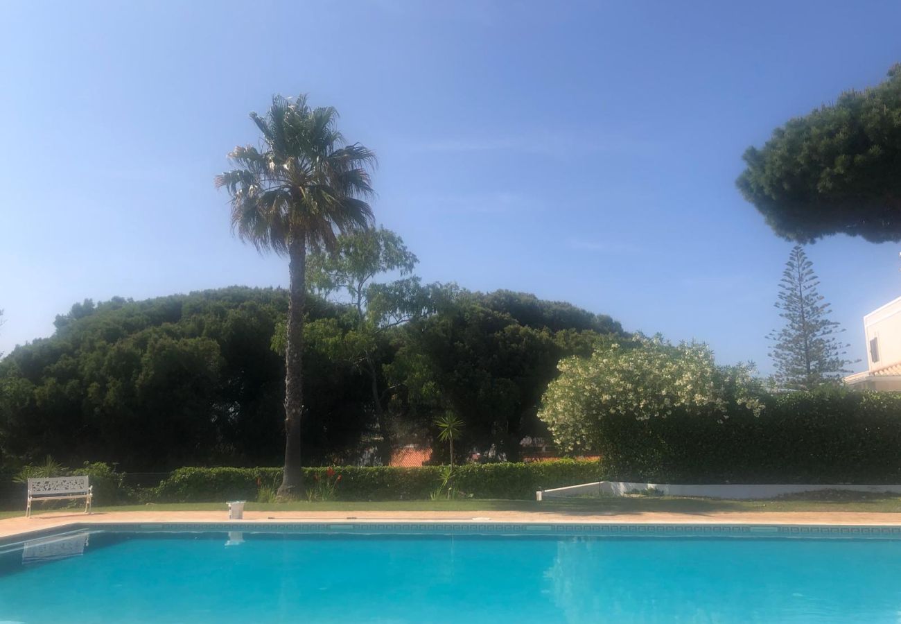 Villa in Quarteira - Villa Vivara
